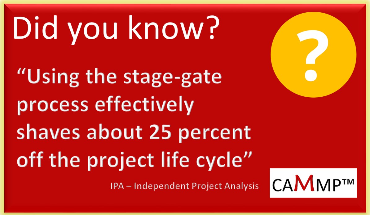 How to lead large and complex (mega) projects to success?