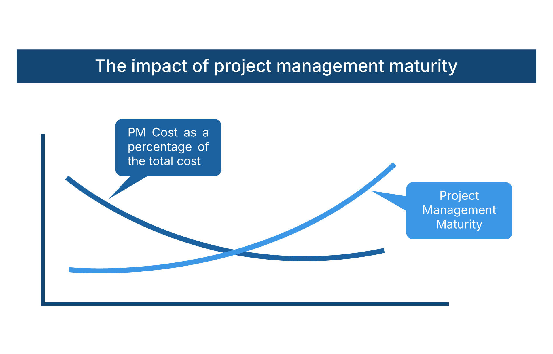 Project Management Maturity and Self-Assessment Tool